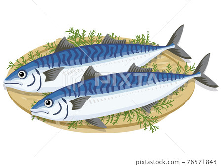 Mackerel in a colander (2) 76571843