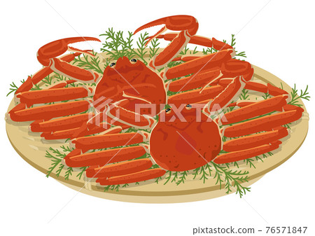 [Vector] Hand-drawn style snow crab illustration. Two fresh snow crabs side-by-side on a bamboo basket, perfect for winter gifts and year-end presents. 76571847