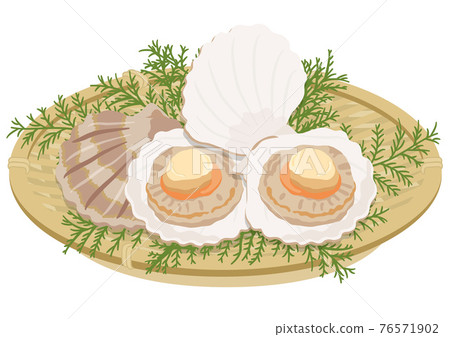 Scallops in a colander (3) 76571902