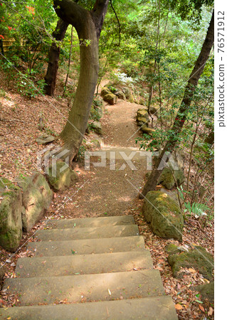 Todoroki Ravine,市中心最好的山谷 Todoroki Ravine,市中心最好的山谷 76571912