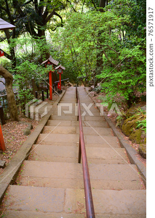 Todoroki Ravine, the best valley in the city center 76571917