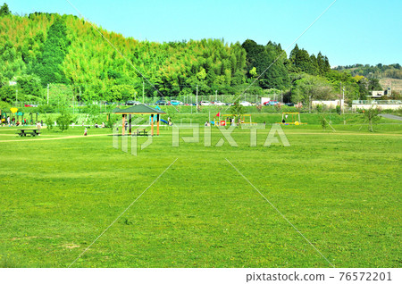 Lawn park 76572201
