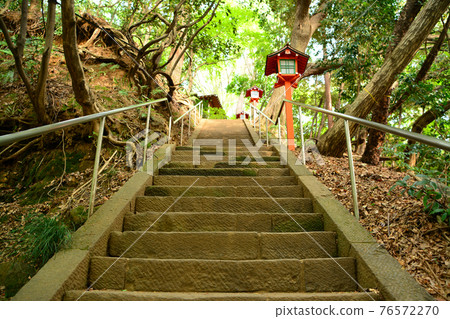 Todoroki Ravine, the best valley in the city center 76572270