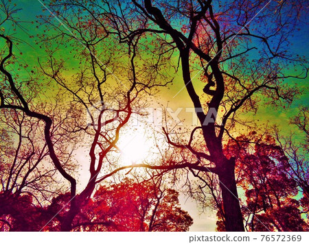 移動在秋天天空的中國牛油 76572369