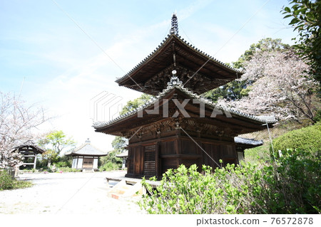 Chohoji Temple Tahoto and Sakura Chohoji Temple Tahoto and Sakura 76572878