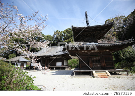 Chohoji Temple Tahoto and Sakura 76573139