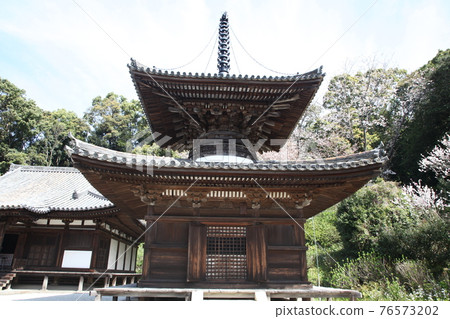 Chohoji Temple Tahoto and Sakura 76573202