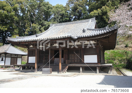 Chohoji main hall and cherry blossoms Chohoji main hall and cherry blossoms 76573608