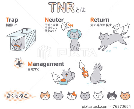TNR 活動區域貓插圖集 76573694
