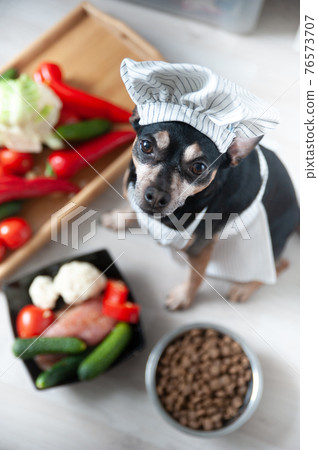 Man in an apron and his dog in a chef's cap and apron are cooking food in the kitchen. A very cute photo of friendship and joint activities. Cooking concept 76573707