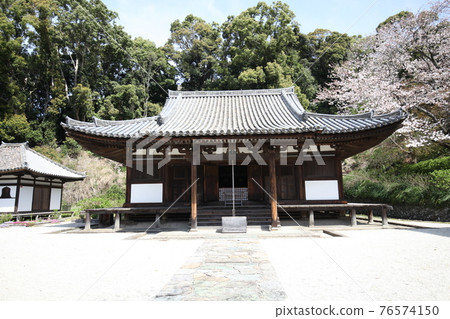 Chohoji main hall and cherry blossoms Chohoji main hall and cherry blossoms 76574150