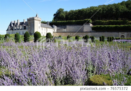 Visiting old castles in the Loire region of France Visiting old castles in the Loire region of France 76575372