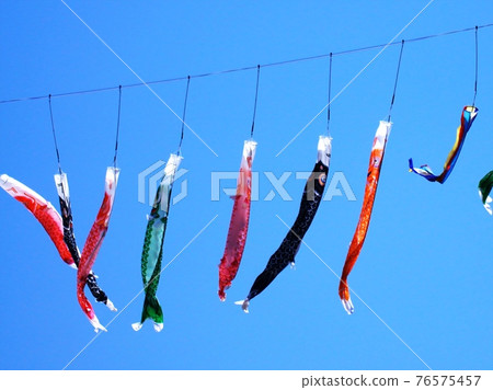 游泳在天空的鯉魚飄帶 游泳在天空的鯉魚飄帶 76575457