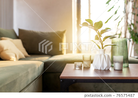 Relaxing time at comfort green interior loft house, vase with zamioculcas 76575487
