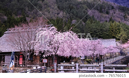 Saiko Iyashi no Satoba Saiko Iyashi no Satoba 76576015