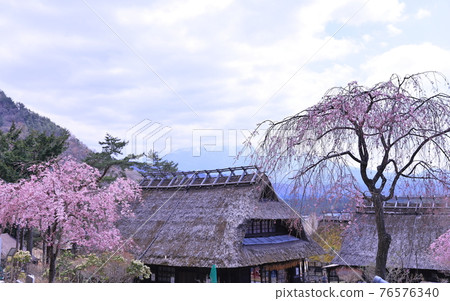 Saiko Iyashi沒有Satoba 76576340