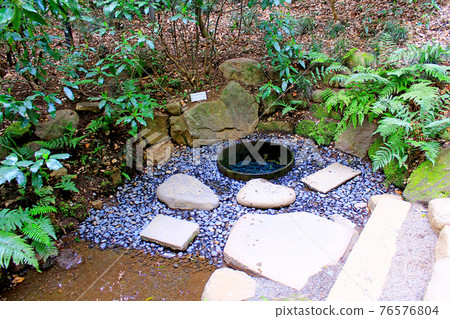 [Tokyo] Spring Meiji Jingu Gyoen Kiyomasa's well where fresh water springs up 76576804