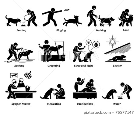 Dog care icons set. Vector illustrations of how to take care of a pet dog by giving food, shelter, love, and health needs. 76577147