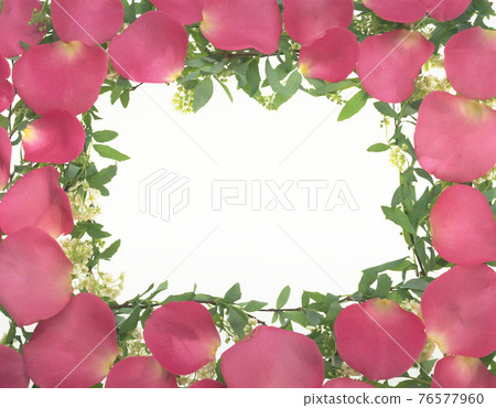 Studio shot of lace border with leaves and red rose petals 76577960
