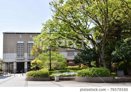 神奈川縣藤澤市 Chichibunomiya 紀念體育館入口，舊近藤住宅 t 和新鮮的綠色 76578580