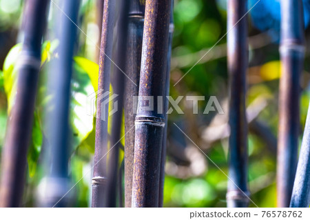 KUROCHIKU KUROCHIKU 76578762