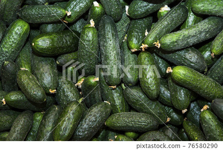 image of fresh cucumber background  76580290