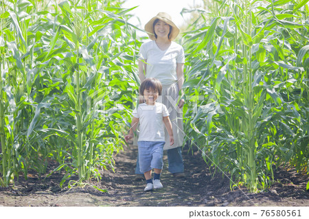 在田間玩耍的男孩和在田間工作的母親 在田間玩耍的男孩和在田間工作的母親 76580561
