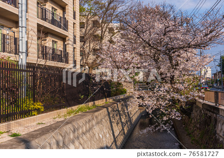 Tokyo walk, Setagaya-ku, Setagaya-ku Seta 4-7 76581727