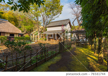 Tokyo walk, Setagaya Ward, 2-19 Okamoto, Setagaya Ward, Okamoto Park Minkaen 76581744