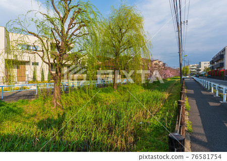 東京,世田谷區,岡本三丁目,世田谷區,水上橋附近,丸子川水上樂園散步 東京,世田谷區,岡本三丁目,世田谷區,水上橋附近,丸子川水上樂園散步 76581754
