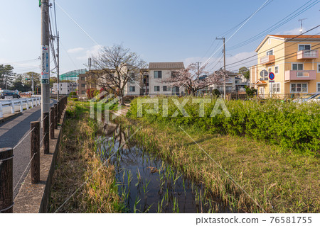 Walk in Tokyo, Setagaya Ward, Okamoto 3-chome, Setagaya Ward, near Mizukami Bridge, Marukogawa Water Park 76581755