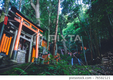 Inside Fushimi Inari Taisha Shrine 76582121