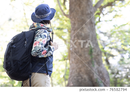 一個女人在新鮮的綠色森林裡享受徒步旅行 一個女人在新鮮的綠色森林裡享受徒步旅行 76582794