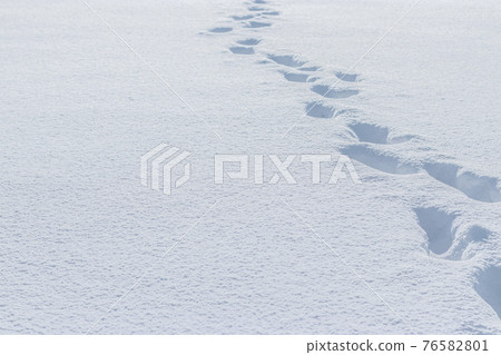 Footprints on the snow Footprints on the snow 76582801