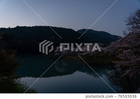 Sakuranosato Park in Odai Town, Mie Prefecture, and the surrounding scenery Sakuranosato Park in Odai Town, Mie Prefecture, and the surrounding scenery 76583036