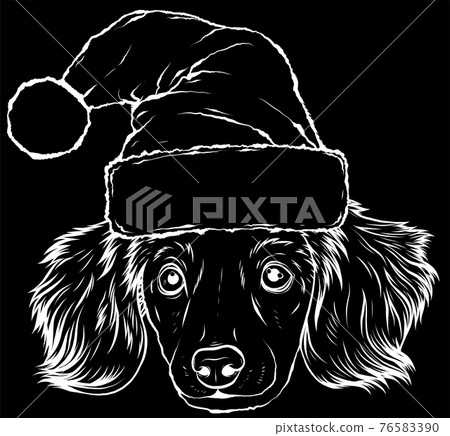 white silhouette of dog face with Christmas hat on black background white silhouette of dog face with Christmas hat on black background 76583390
