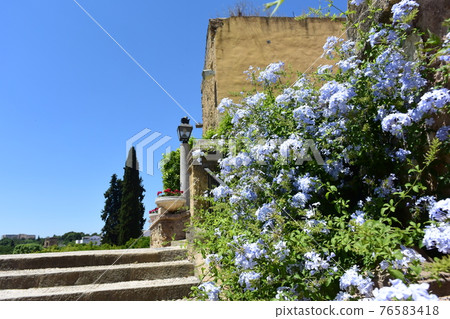 Alcazar, Cordoba, Spain, garden Alcazar, Cordoba, Spain, garden 76583418