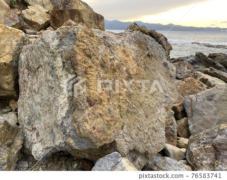 南紀熊野地質公園八曾磯遺跡化石供學習 76583741