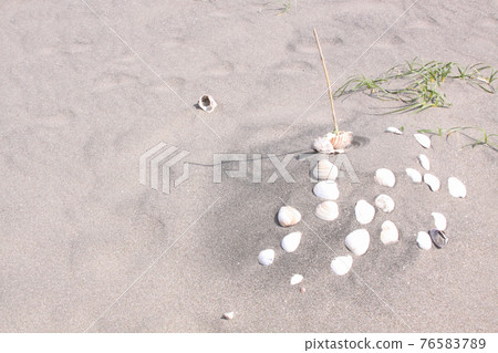 Sand dunes and white shells on the beach Sand dunes and white shells on the beach 76583789