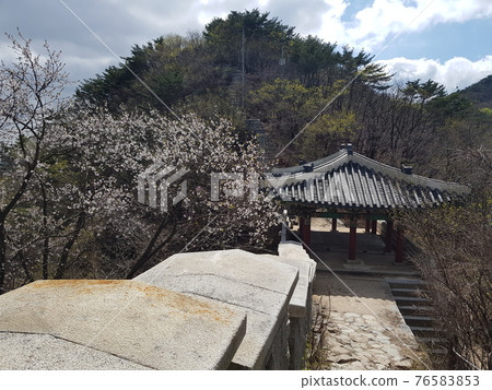 Bukhansan. National Park. Spring Flowers. Leaves. Trail Bukhansan. National Park. Spring Flowers. Leaves. Trail 76583853