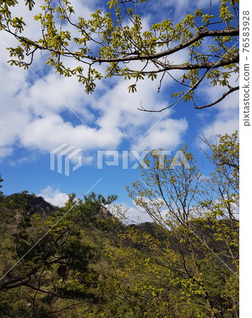 Bukhansan. National Park. Spring Flowers. Leaves. Trail Bukhansan. National Park. Spring Flowers. Leaves. Trail 76583928