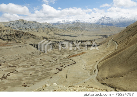 Mustang trekking 76584797