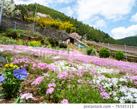 Beautiful view of the Kitaaki River in spring 76585315