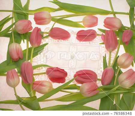 Tulip flower frame still life Tulip flower frame still life 76586348