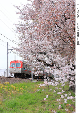 Sakura and Jomo Electric Railway train in front of Kiryu Stadium (red) 76587595