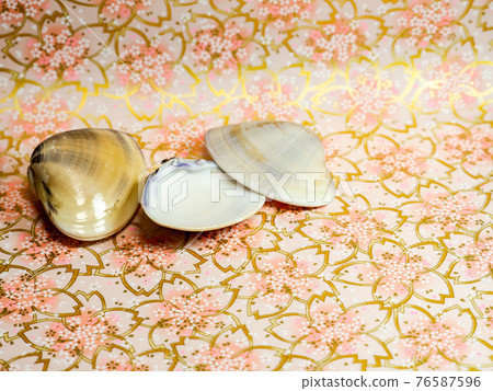 Spring material table photo clam shell 76587596