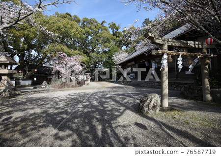 Fujiku Shrine 76587719