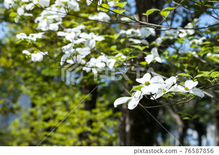 Mizuho Eco Park, Mizuho-cho, Tokyo 76587856