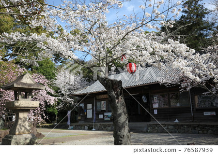 富士山神社 富士山神社 76587939