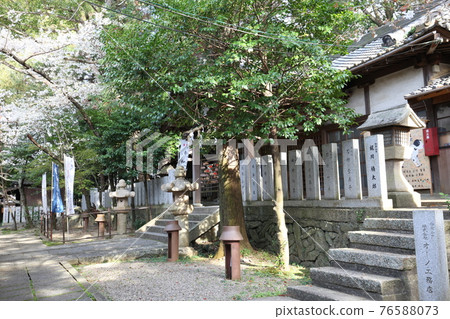 富士山神社 76588073